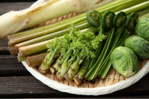 春の苦み野菜