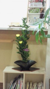 20100908_菊
