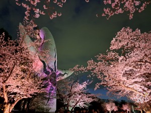 202504