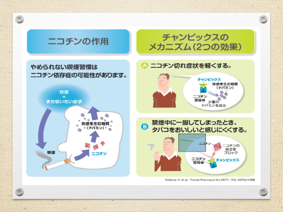 医療コラムVol.3 禁煙外来 ｜“電子たばこ”と“加熱式たばこ”が違うって