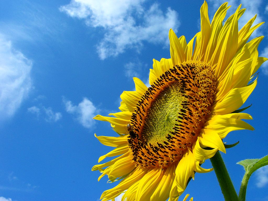 7月 18 わたなべ皮フ科 形成外科 ブログ