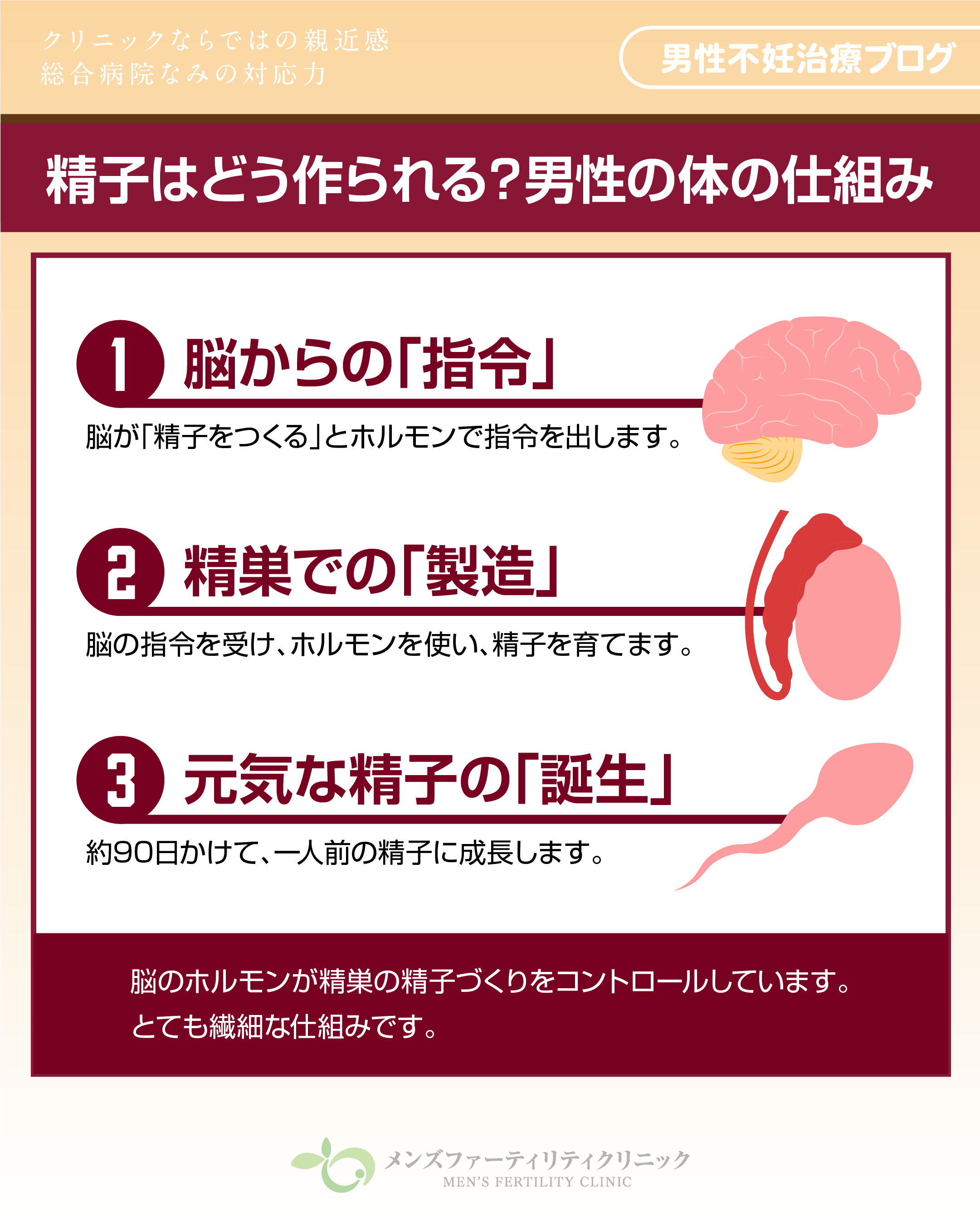 男性不妊症について理解するブログ いちおか泌尿器科クリニック |  いちおか泌尿器科クリニックは、排尿のトラブル、泌尿器がん、性病などの泌尿器科全般、男性不妊症、男性更年期、女性泌尿器疾患等の専門外来も設置しております。
