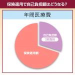 保険適用で自己負担額はどうなる？