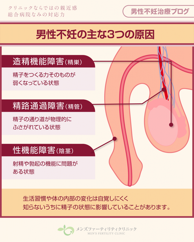 男性不妊 | 男性不妊症について理解するブログ いちおか泌尿器科クリニック