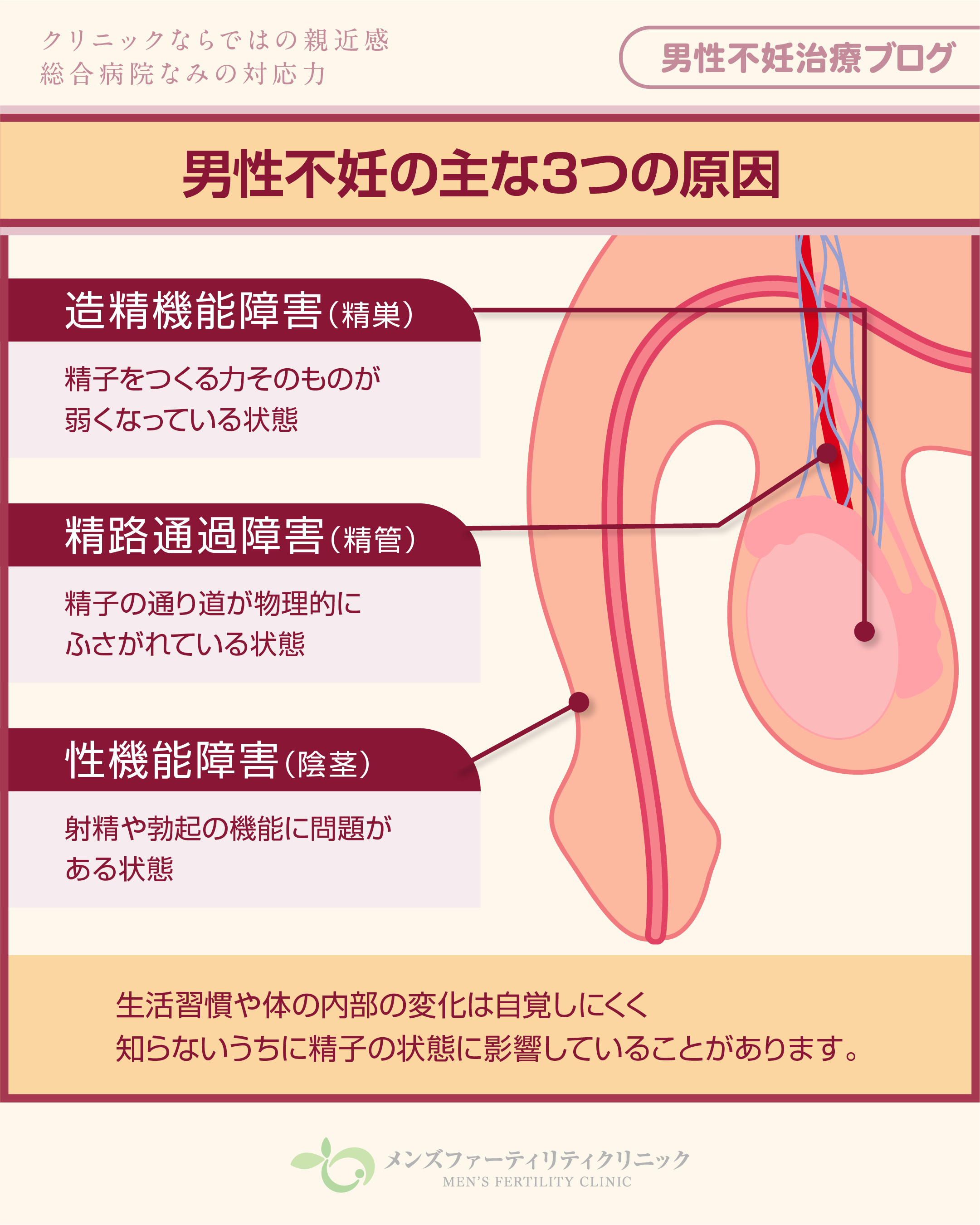 2月 | 2026 | 男性不妊症について理解するブログ いちおか泌尿器科