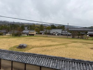 IMG_1820