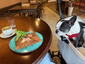 IMG_2639