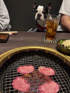 IMG_3151